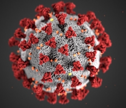 enlarged image of coronavirus
