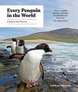 Every Penguin in the World: A Quest To See Them All