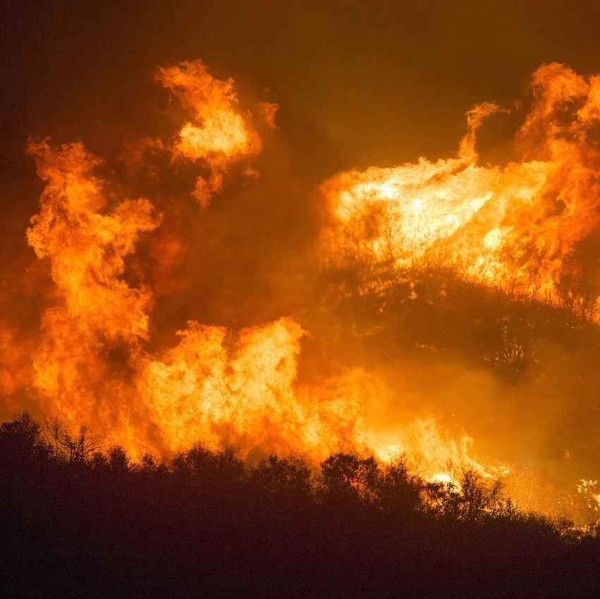 Libraries Largely Spared, Considering Safety of Curbside Service During Worst California Wildfire Season in State's History