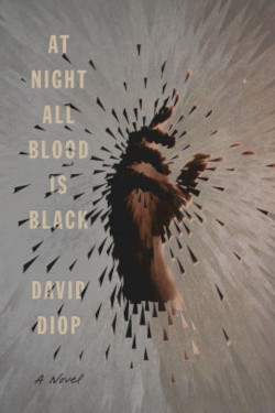 At Night All Blood Is Black: A Novel