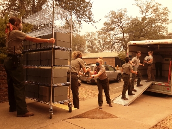 masked parks workers in a line loading archival boxes from steel shelving into truck