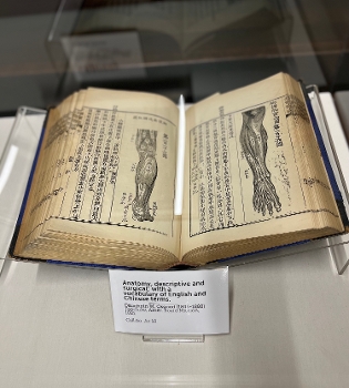 old book in glass case showing anatomical drawings of leg