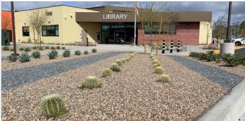 Library exterior with cactus plantings in front