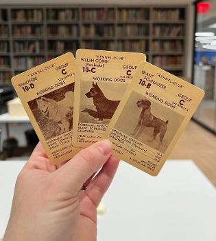 hand holding three game cards with images of dogs