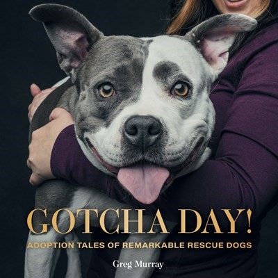 Gotcha Day! Adoption Tales of Remarkable Rescue Dogs
