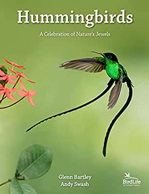 Hummingbirds: A Celebration of Nature’s Jewels