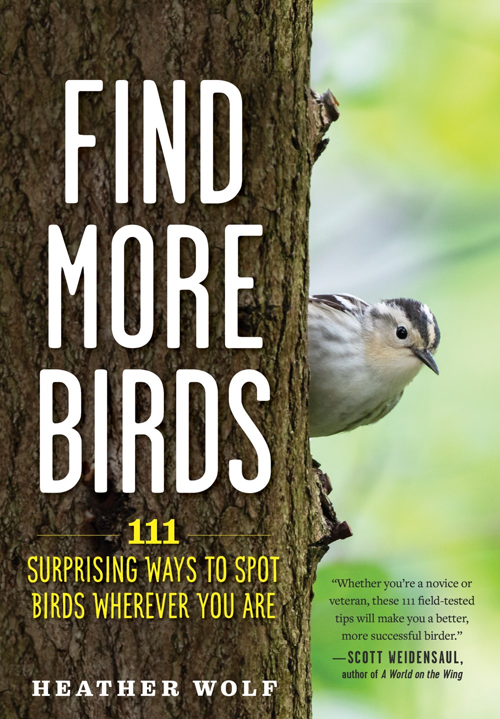 Find More Birds: 111 Surprising Ways To Spot Birds Wherever You Are