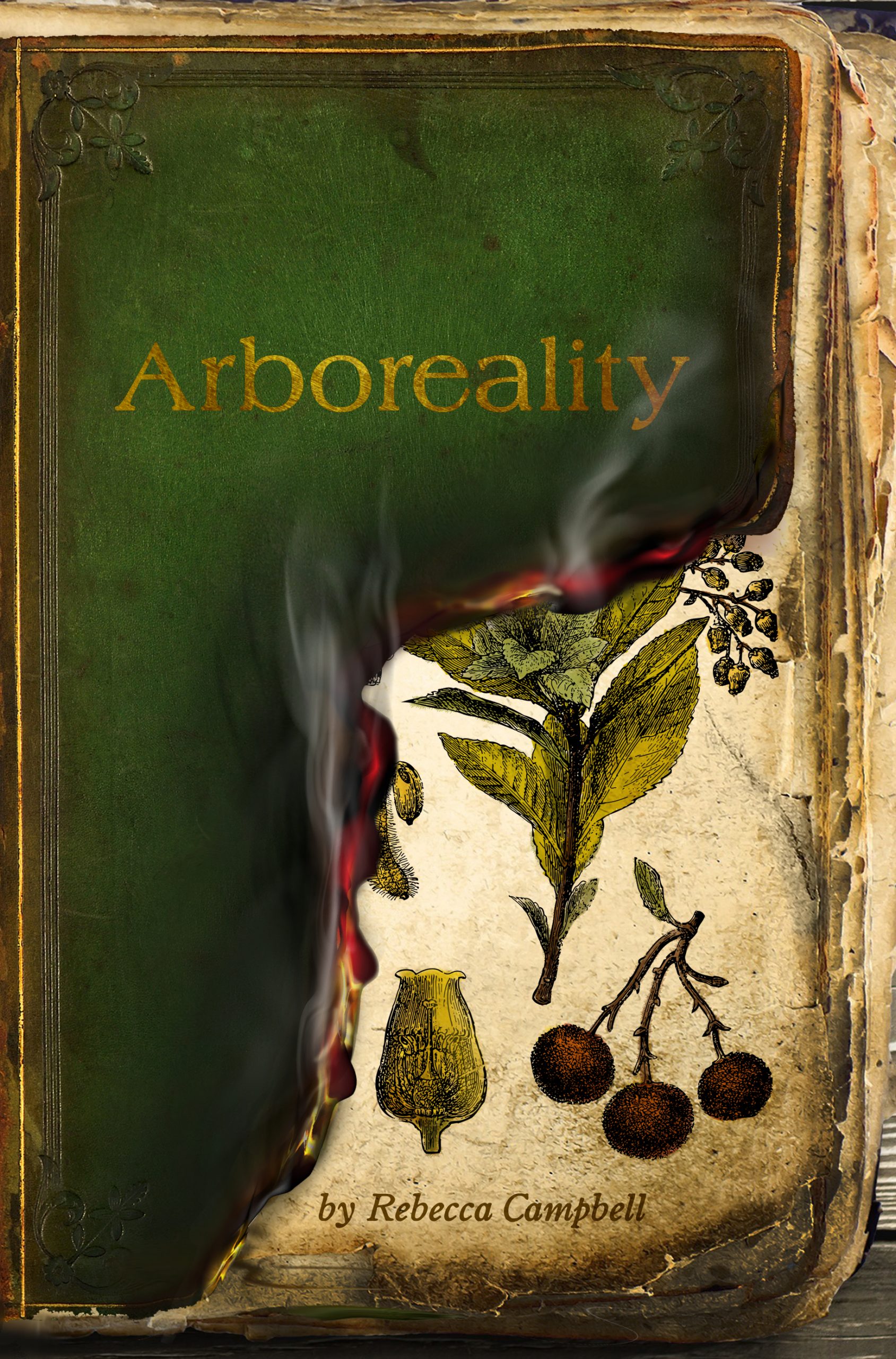 Rebecca Campbell’s ‘Arboreality’ Wins Ursula K. Le Guin Prize | Book Pulse