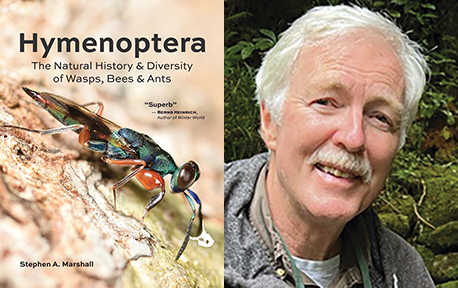 LJ Talks with Stephen A. Marshall, Author of ‘Hymenoptera: The Natural History and Diversity of Wasps, Bees and Ants’