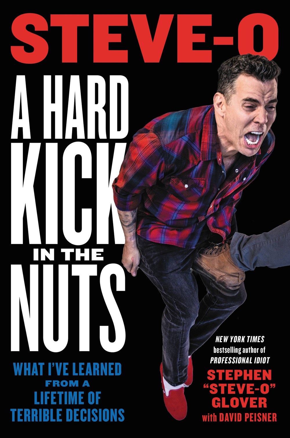 A Hard Kick in the Nuts: What I’ve Learned from a Lifetime of Terrible Decisions
