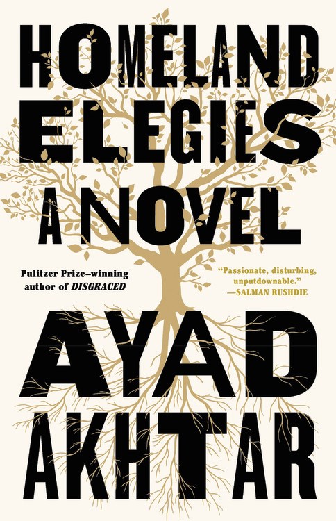 'Homeland Elegies' and 'These Ghosts Are Family' Among American Book Award Winners | Book Pulse