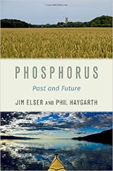 Cover of Phosphorus: Past and Future