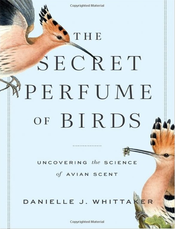 Secret Perfume of Birds, Forgotten Botanist, Botany in China, How Birds Evolve, and More in Botany and Zoology | Academic Best Sellers