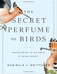 Cover of Secret Perfume of Birds: Uncovering the Science of Avian Scent, by Danielle J. Whittaker