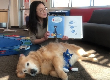 Hemi the Golden Retriever helps out with online storytime presented by Edmonton Public Library, Canada