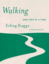Walking in Everyday Life | Social Sciences Reviews