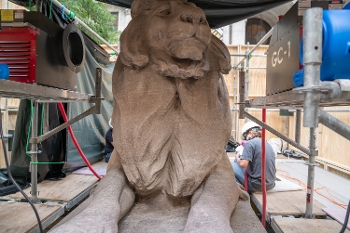 NYPL lion sculpture under scaffolding