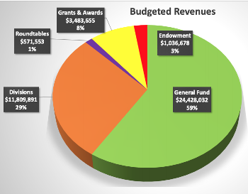 pie chart from ALA council showing revenues