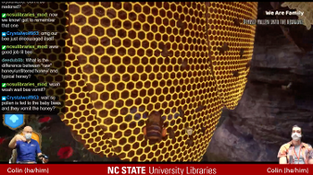 screen shot of Bee Simulator game at NCSU