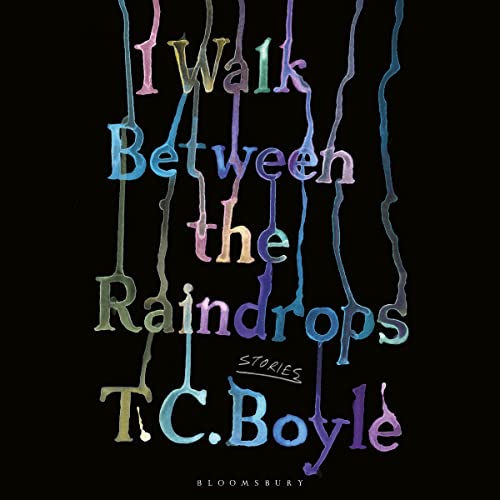 I Walk Between the Raindrops: Stories