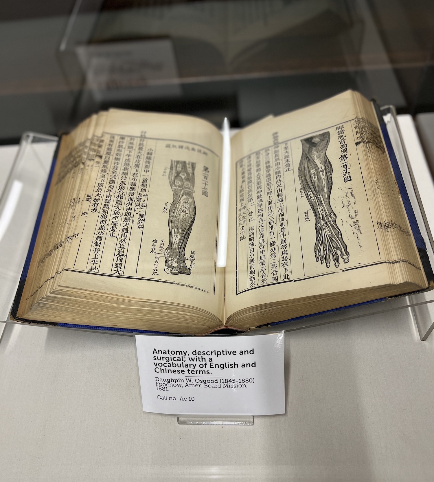 Inspecting American Medicine with the Historical Medical Library | Archives Deep Dive