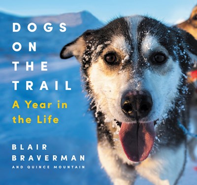 Dogs on the Trail: A Year in the Life