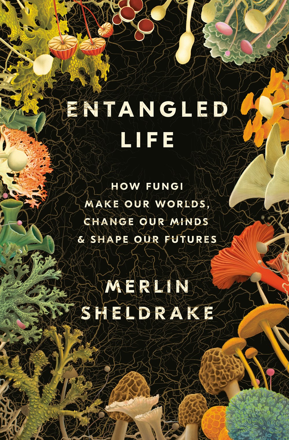 How Fungi Make Our Worlds, Becoming Wild, Spiders of the World and More in Botany and Zoology | Academic Best Sellers