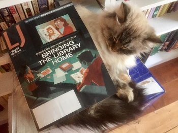 Cat with copy of Library Journal