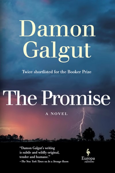Damon Galgut Wins the Booker Prize with 'The Promise' | Book Pulse
